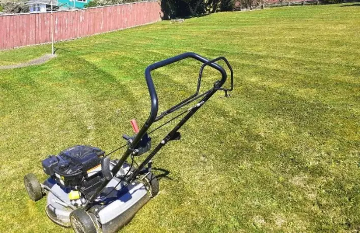 Residential lawn