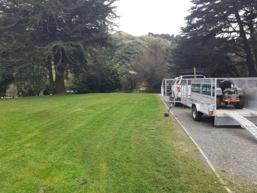 Mowed lawn