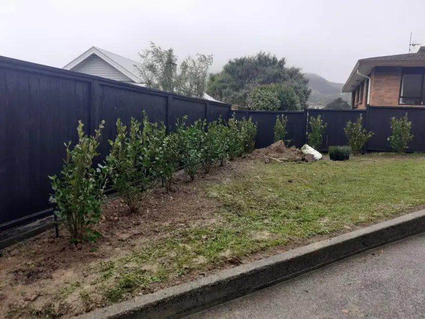 Property maintenance