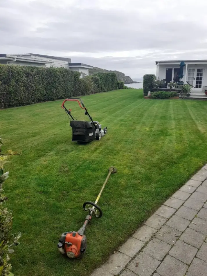Lawn job