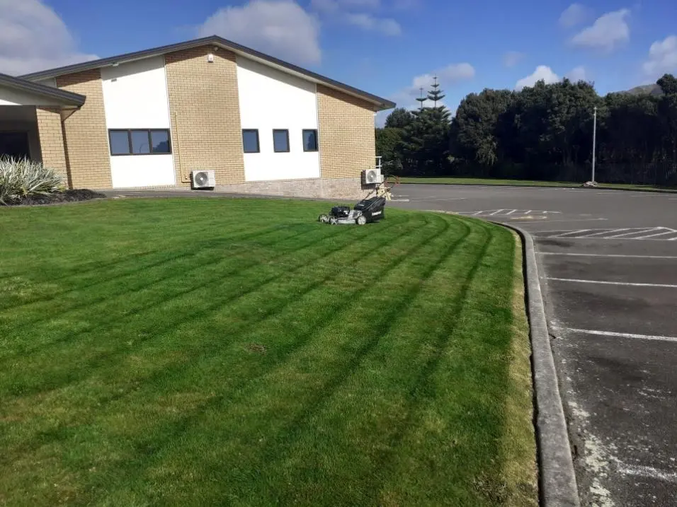 Finished lawn